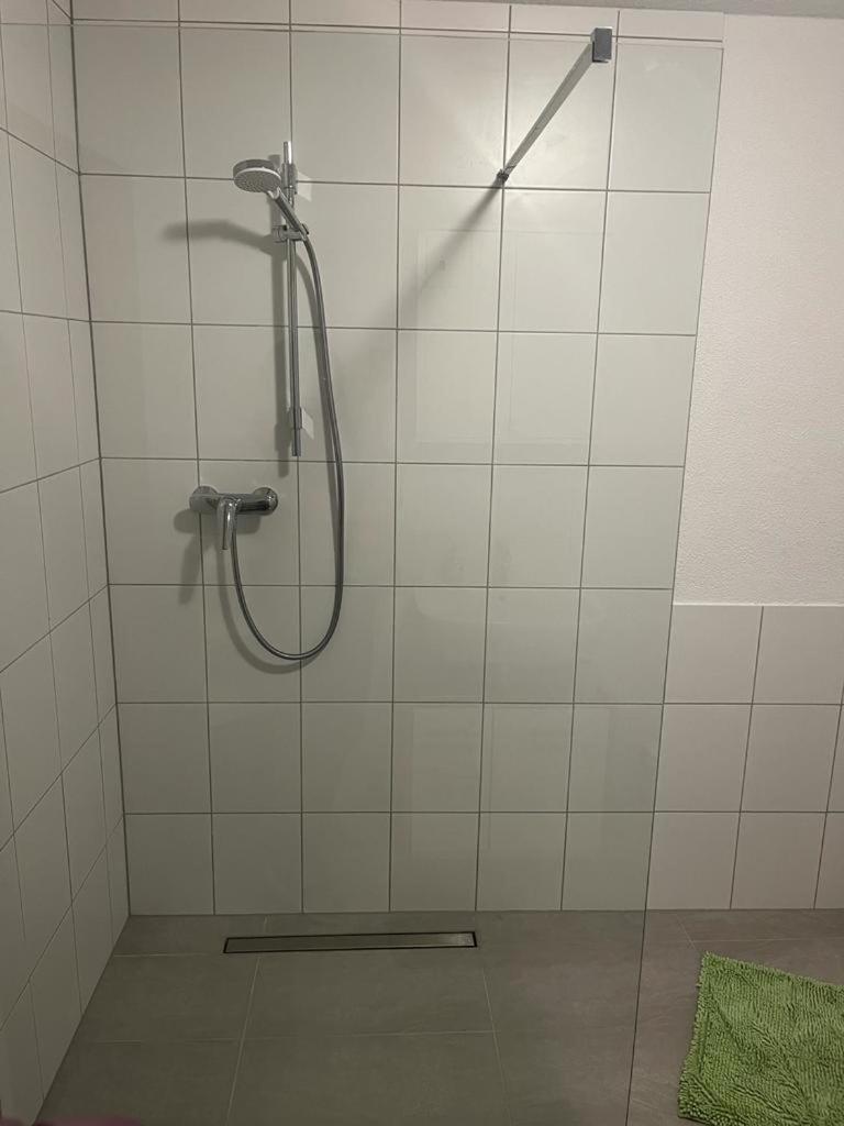 Diti Apartment Lottstetten エクステリア 写真