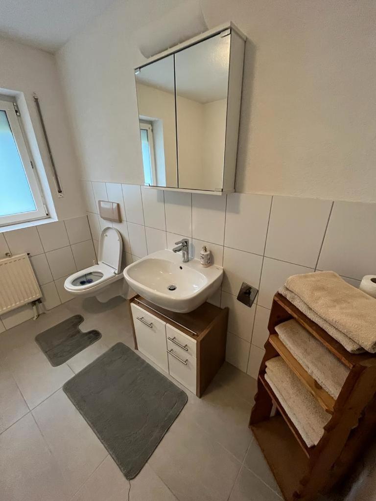 Diti Apartment Lottstetten エクステリア 写真